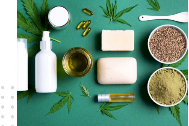 Partner with Wilson Drugs for the Best Ayurvedic PCD Pharma Franchise Opportunity