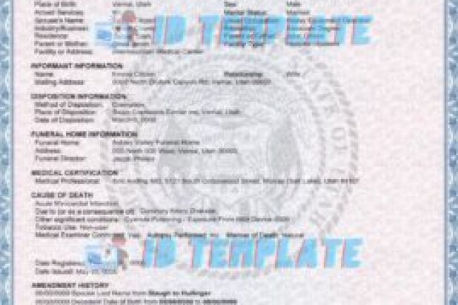 Free Drivers License Template & Blank Texas Birth Certificate