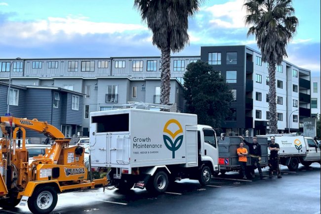 Arborist  Auckland