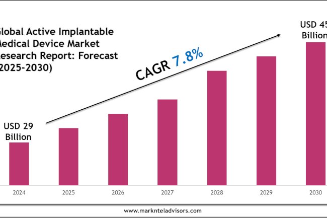 Leading Players & Segments in the Active Implantable Medical Device Market 2030