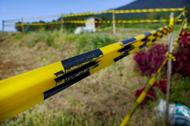 The Future of Accuracy: 3D Property Surveys and Land Surveying Services