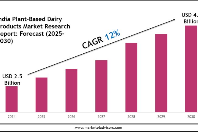 India Plant-Based Dairy Products Market Statistics, Value & Scope 2030