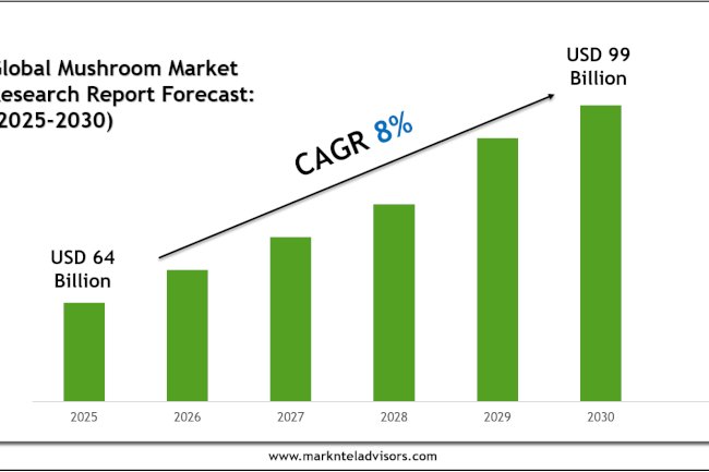 Mushroom Market Size, Share, Trends & Forecast 2030