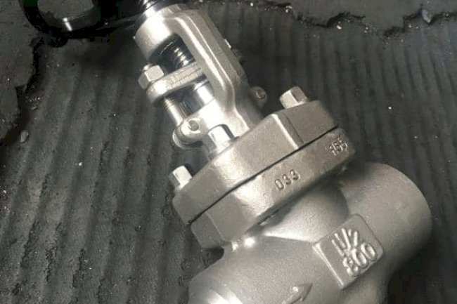 Check Valve Supplier in India