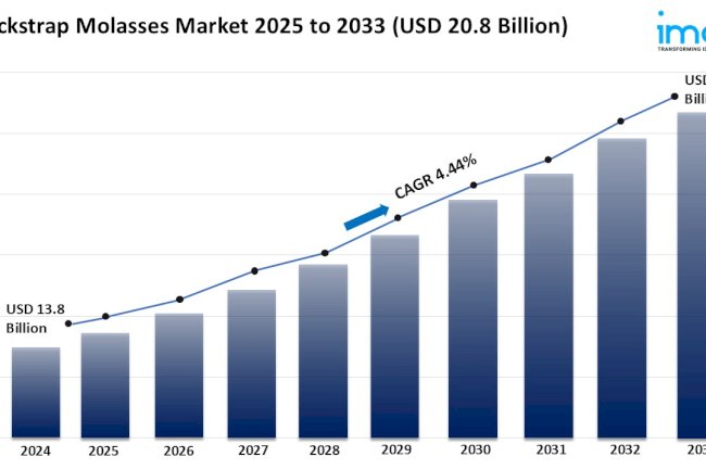 Blackstrap Molasses Market Outlook, Growth Opportunities, and Forecast 2025-2033