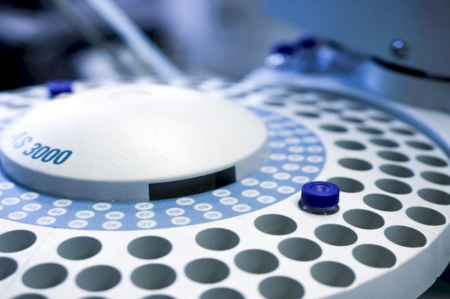 Plant-Derived Exosome Applications in Targeted Drug Delivery