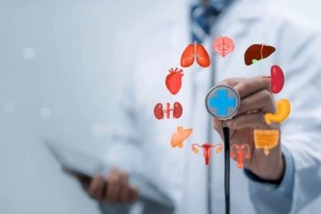 Full Body Checkup in Delhi: Complete Guide to Preventive Health