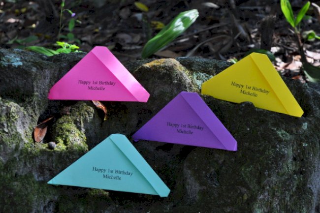 Choosing Butterfly Release Packages For Meaningful Ceremonies