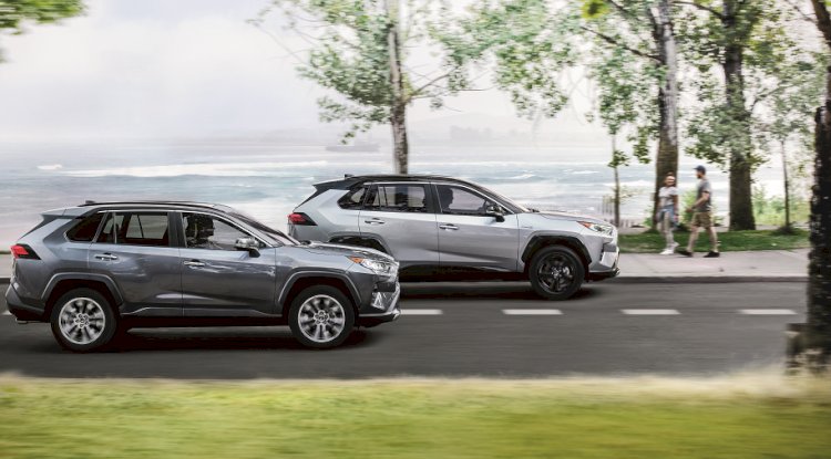 From Beaches to Mountains: Where to Go After You Rent a Car in Dubai