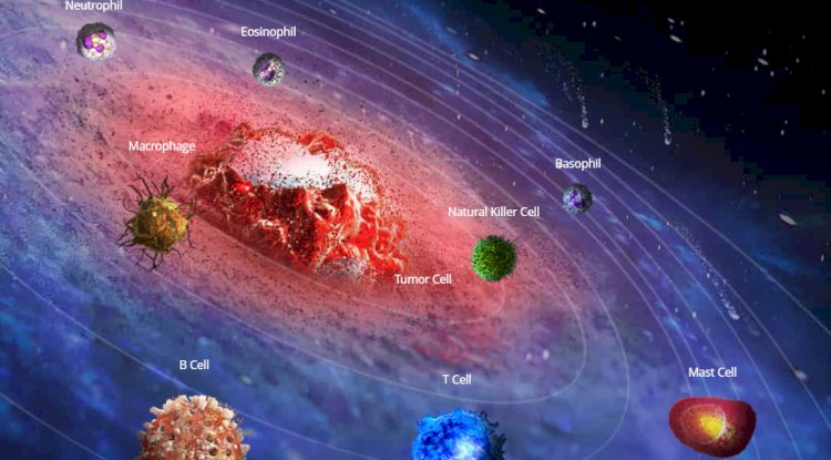 How to Boost Your Immune System Naturally