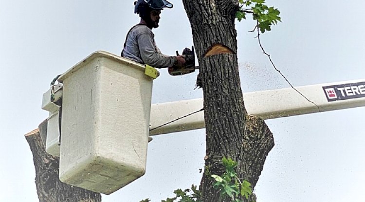 Storms in Ohio: How Severe Weather Can Affect Homes, Trees, and Communities