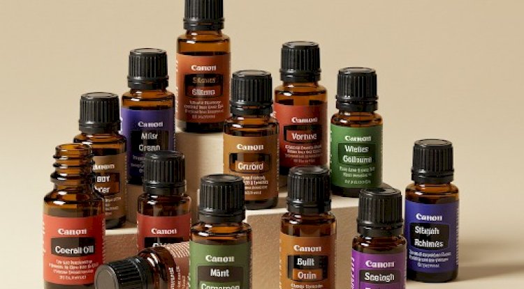 The Power of Scent: Enhancing Everyday Spaces Through Fragrance Solutions and Scent Marketing