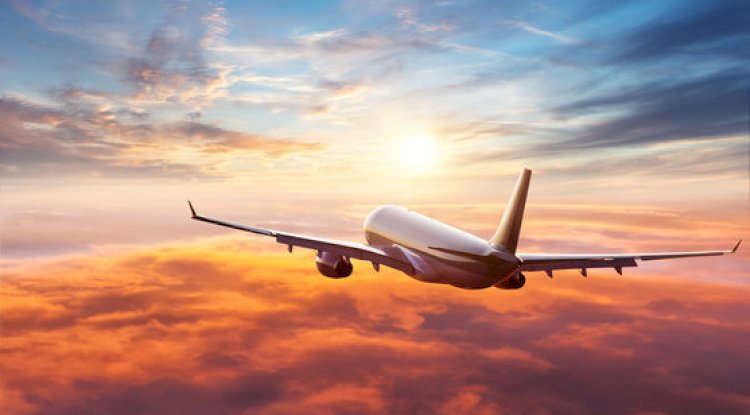 Turkish Airlines Johannesburg Office +1-888-839-0502