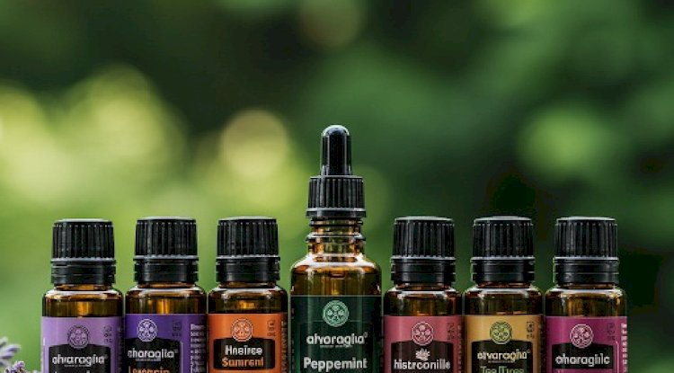 Enhancing Environments Through Strategic Scent Marketing and Aroma Solutions