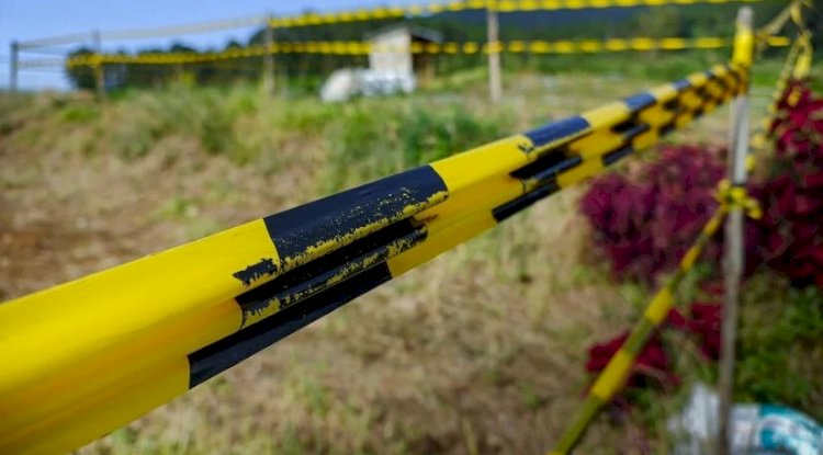 The Future of Land Measurement: 3D Property Surveys and Local Land Surveyors