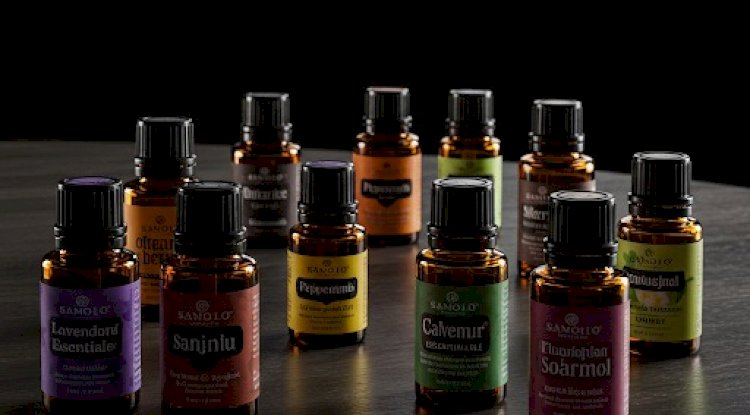 The Rise of Scent Marketing in India: Transforming Retail, Food Courts, and Malls