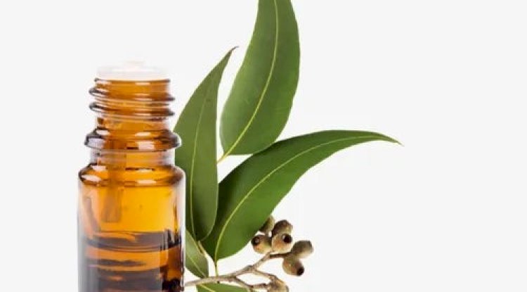 Nature’s Pharmacy: Discover the Best Natural Skincare & Aromatherapy Products Store in India