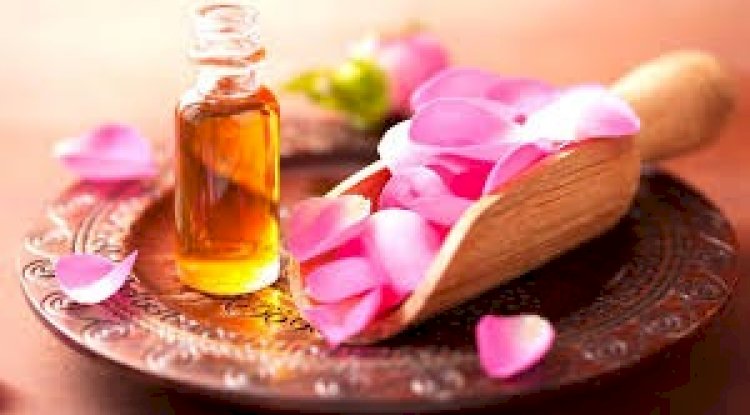 Nature’s Touch: Discover India’s Most Trusted Aromatherapy & Natural Skincare Brand