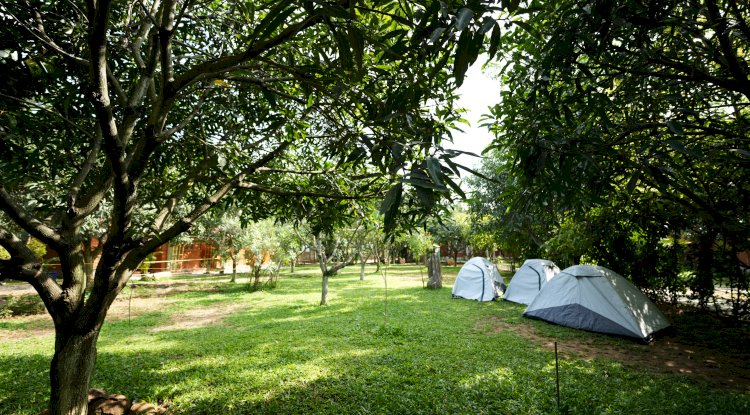 From Sunrise to Starry Night: A Full Day at Suggee Resort