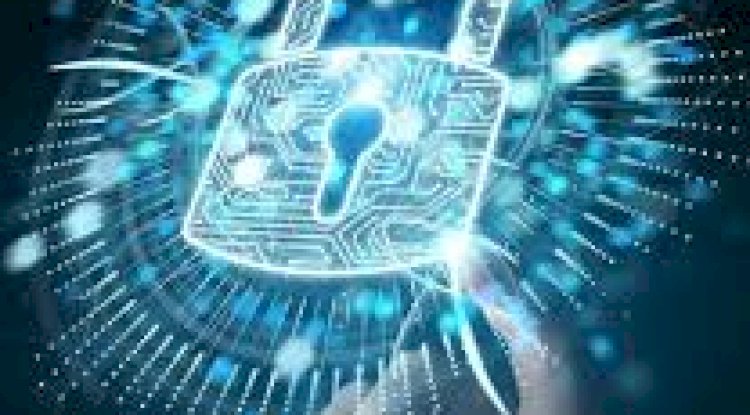 Top-Rated IT Services In Fort Lauderdale For Small And Mid-Sized Businesses