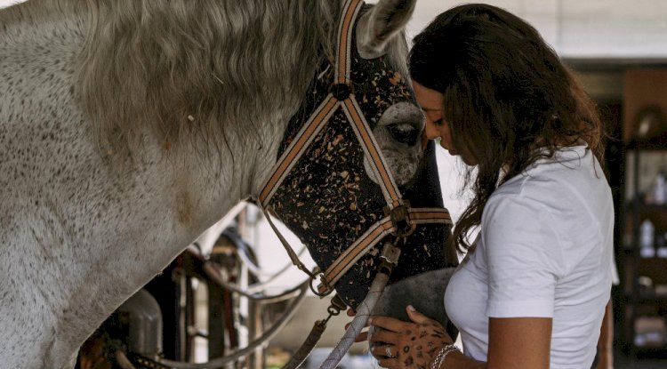 Healthy Hooves, Happy Horse: Understanding Hoof Supplements