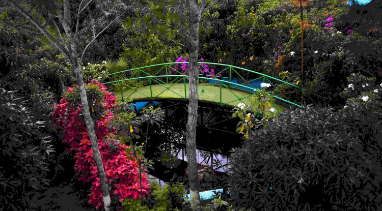 Wake Up with Nature – Early Morning Vibes at Suggee