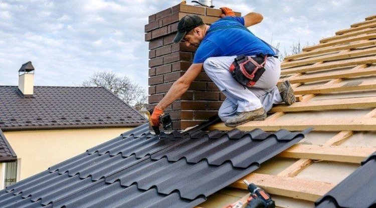 Top Reasons to Choose Timberline Roofing in Auckland and Beyond
