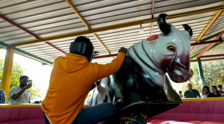 From Bird Songs to Bull Rides: Find Your Happy Place
