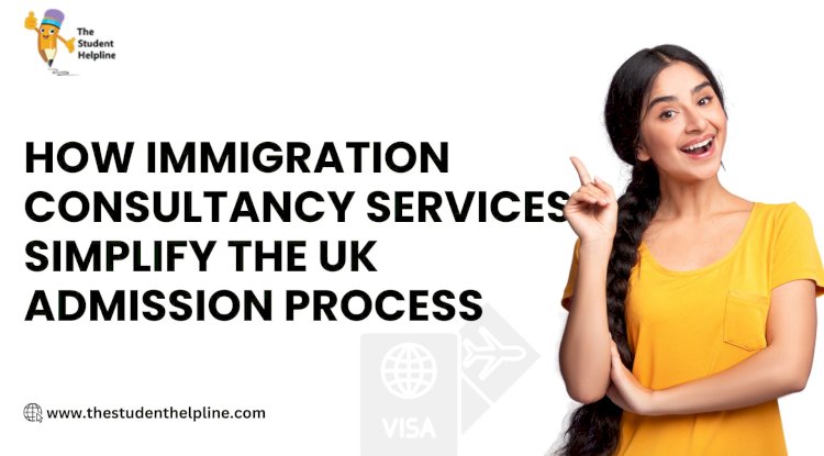 When to Contact an Immigration Consultant During Your Study Abroad Journey