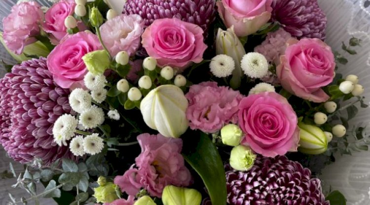 Celebrate Special Moments with Living Flowers – Your Florist Pascoe Vale