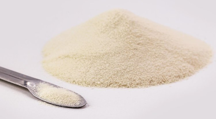 Setting Up a Successful Gelatin Powder Manufacturing Plant Cost Report 2025: Business Plan