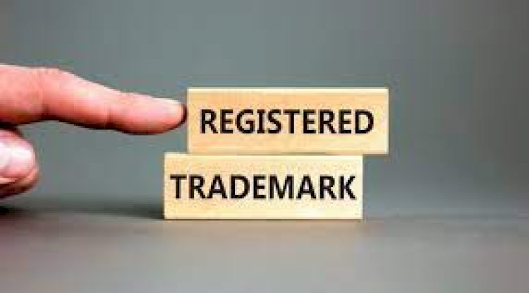Understanding the Process of Trademark Registration in India