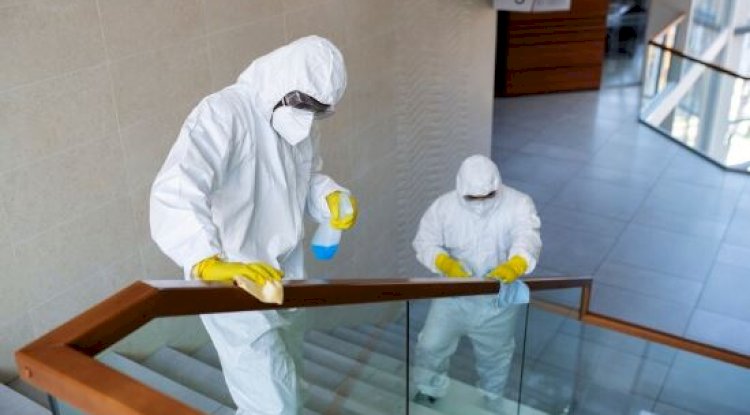  The Role of an Asbestos Remediation Contractor in Ensuring Safety