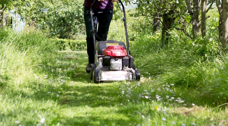 Lawn Care GA Your Complete Solution for Beautiful Atlanta Lawns