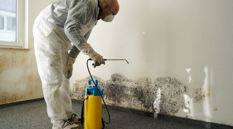 Restore Water Damage Fast with Expert Cleanup Services