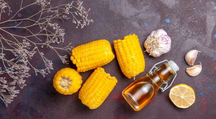 Prefeasibility Report on a Corn Oil Manufacturing Plant Setup Project by IMARC Group