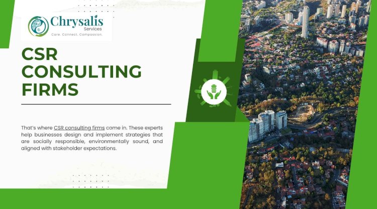 Understanding the Role of CSR Consulting Firms