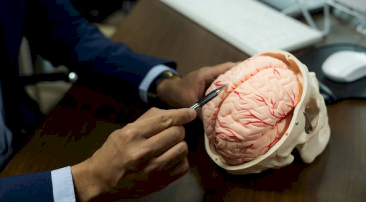 Accurate Epilepsy Diagnosis | Southern Neurology Miranda