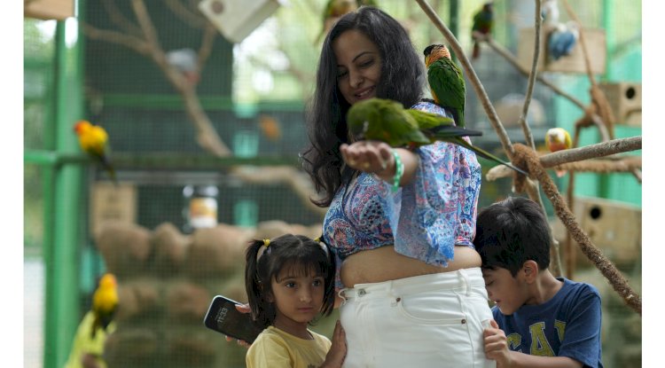 The Resort Where Every Age Finds Its Joy
