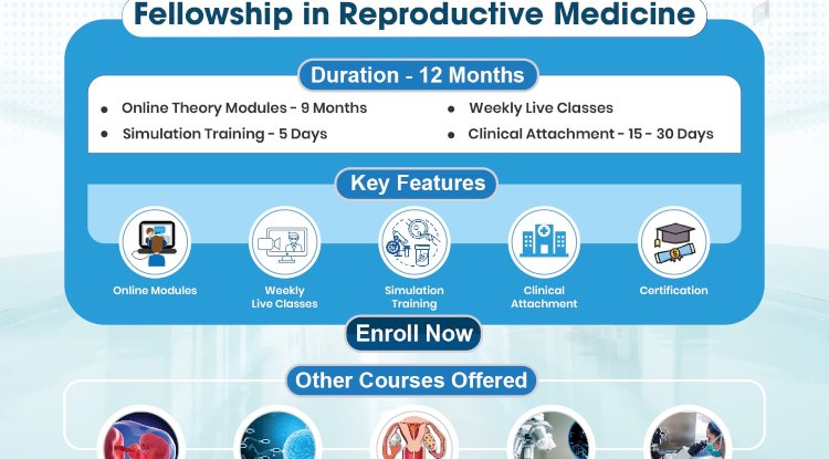 The Future of Fertility Care: How Fellowship Plays a Role in Reproductive Medicine