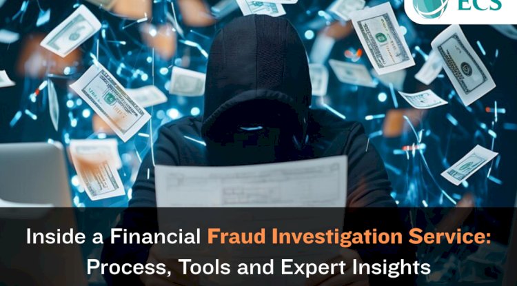 Inside a Financial Fraud Investigation Service: Process, Tools, and Expert Insights