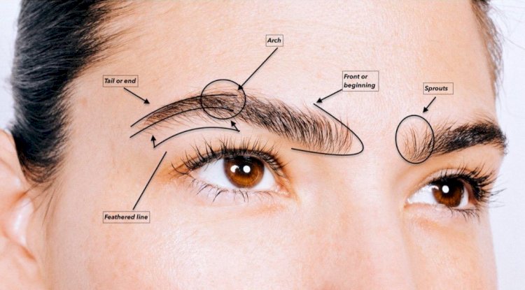 Eyebrow Transplant: The Ultimate Solution for Sparse Brows