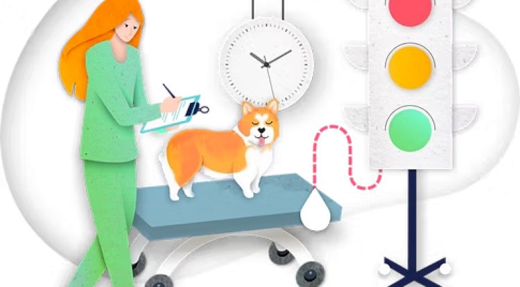 The Digital Tools Transforming How Veterinarians Work Today