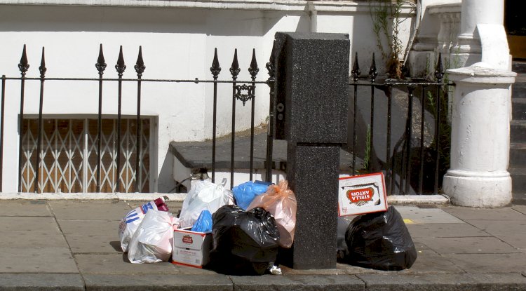 What Should You Know About a Rubbish Removal Company Before Hiring It?