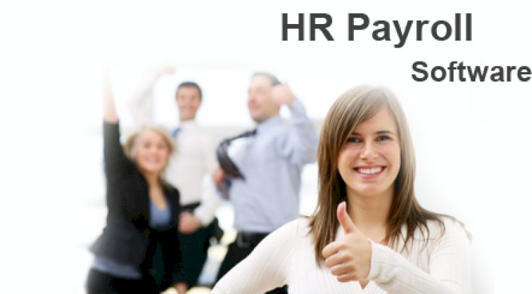 Why HR Payroll Software Is Essential for Modern Businesses?