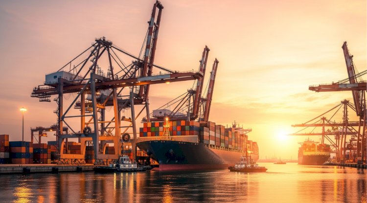 5 Ways UAE Businesses Can Simplify Vehicle Import and Customs Clearance