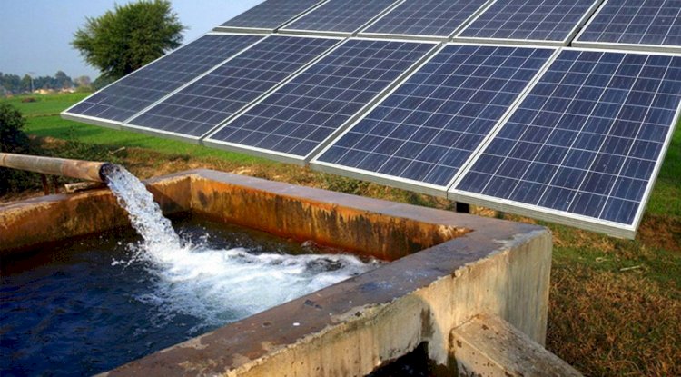 Why Farmers Prefer Solar Water Pumps Today