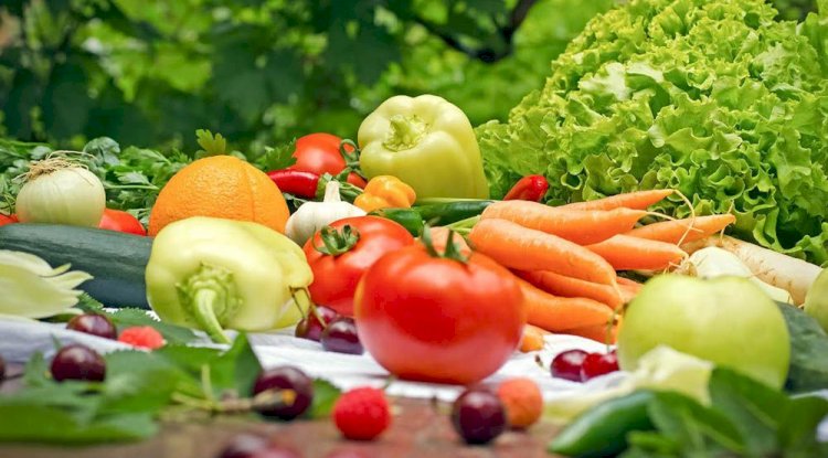 The Rise of Organic Foods: A Healthier and Safer Choice for Modern Living