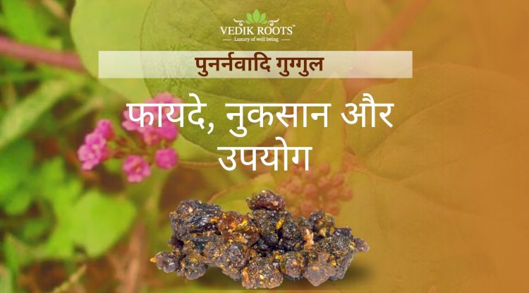 पुनर्नवादि गुग्गुल: फायदे, नुकसान और उपयोग