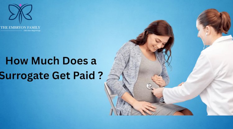 How Much Does a Surrogate Get Paid?